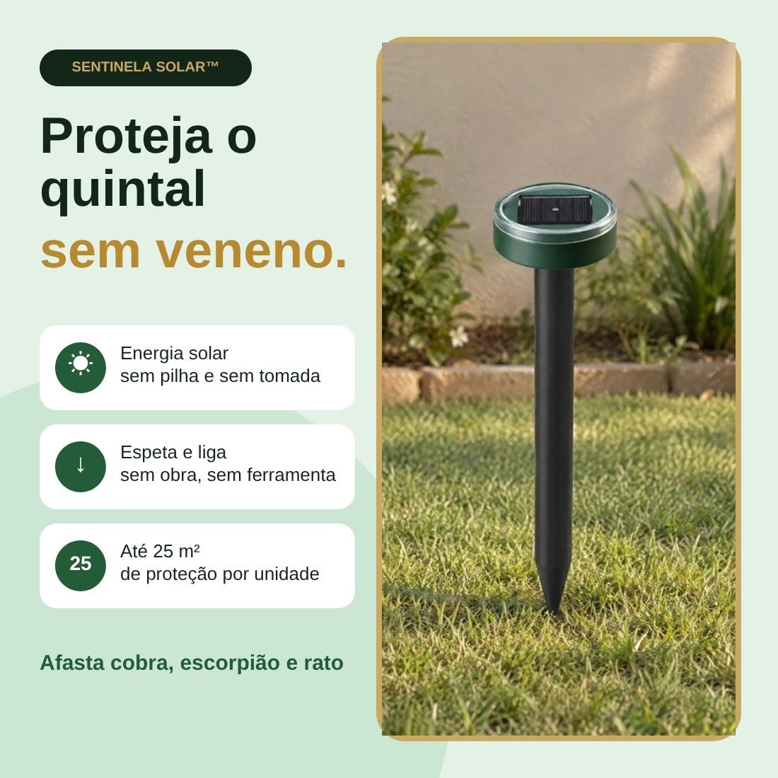 Sentinela Solar: proteja o quintal sem veneno com energia solar, instalação sem ferramenta e até 25 m² por unidade